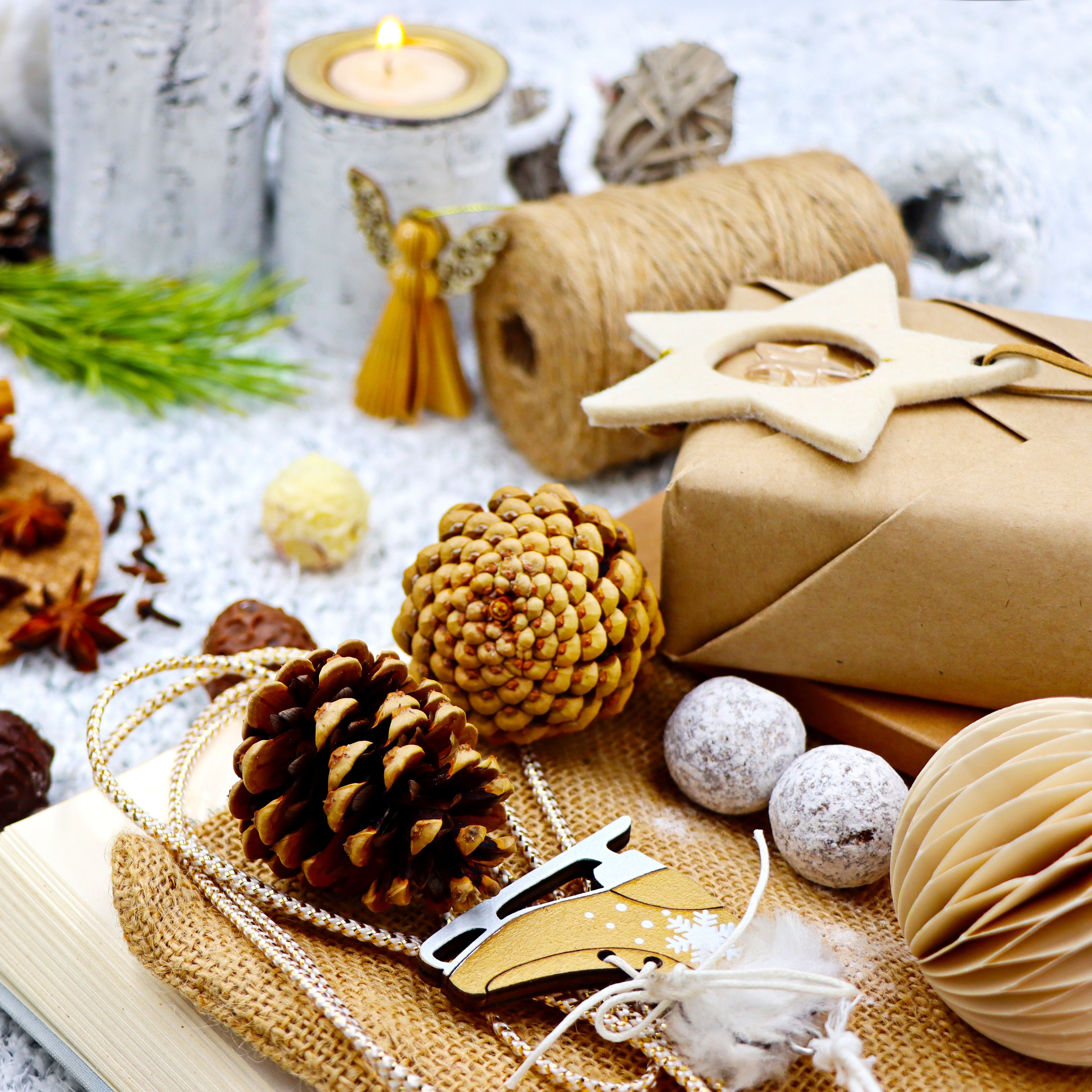 Nature Holiday Ornaments—December 19 - logo
